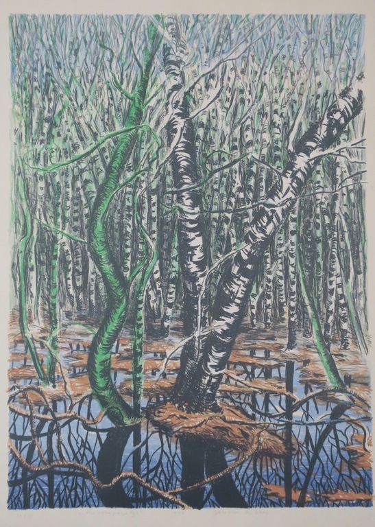 Jacobien de Rooij: Litho, Meeuwenparadijs kopen? Bied vanaf 1!