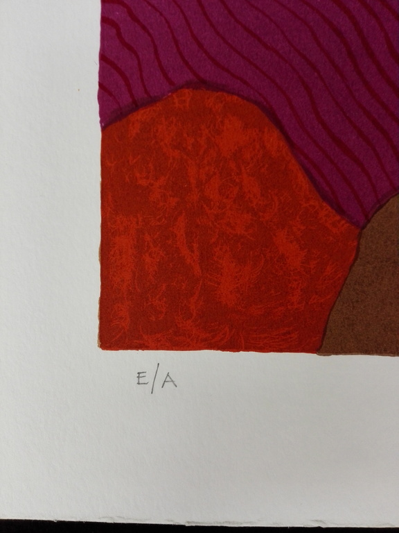 Ronald Boonacker, zeefdruk op papier, Titel: Tanzania II kopen? Bied vanaf 40!