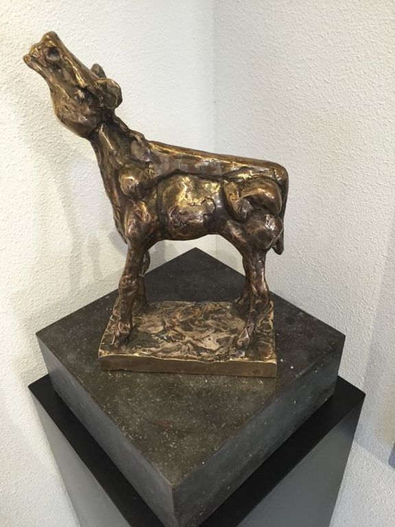 Gouden kalf kopen? Bied vanaf 2250!