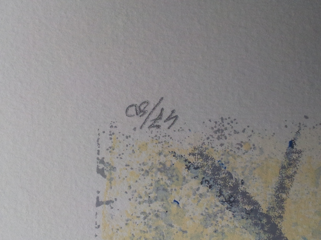 Ad van Hassel Zeefdruk Witte Tulpen Oplage 50 kopen? Bied vanaf 1!