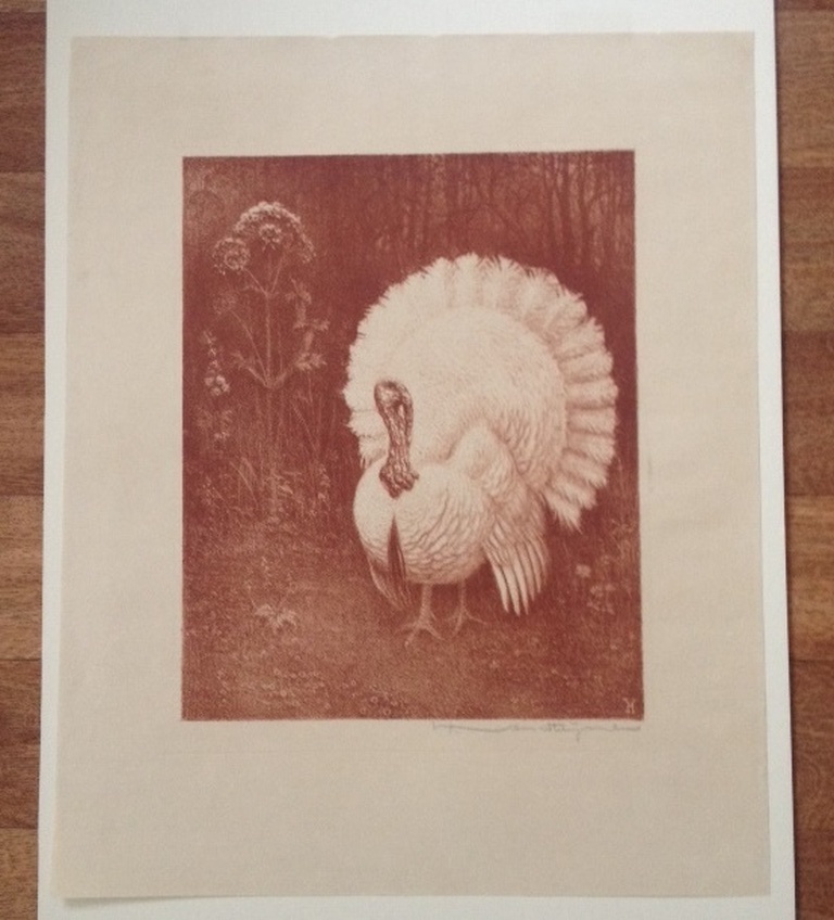 Henri Verstijnen litho Witte kalkoen. kopen? Bied vanaf 60!
