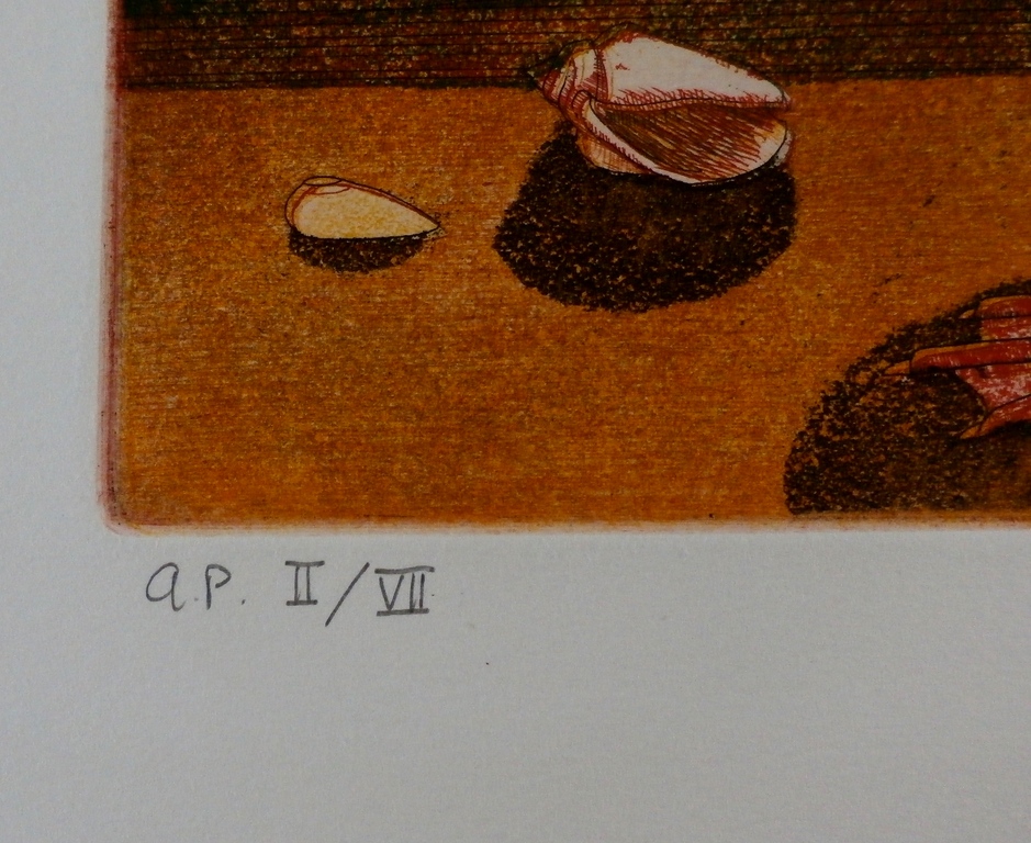 Frans Wesselman - ets: Shelduck  kopen? Bied vanaf 50!