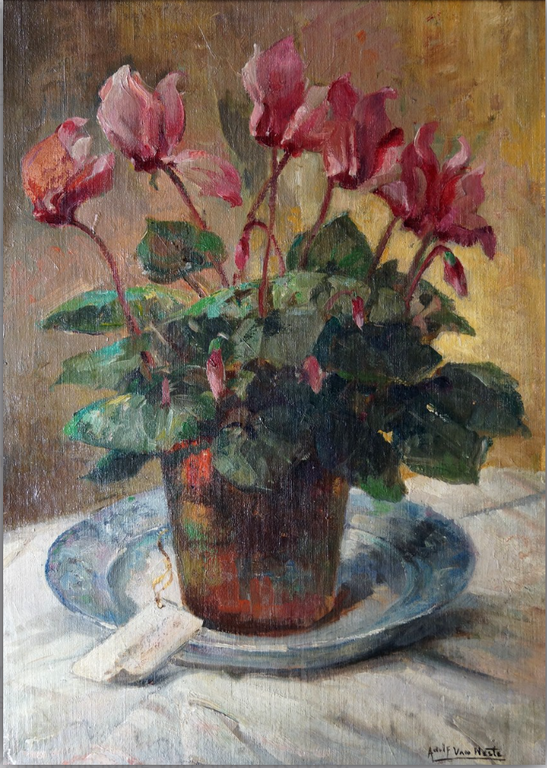 Adolfe van Neste (1880-1959) - marouflÃ© - bloeiende cyclaam in pot verkocht voor € 85!