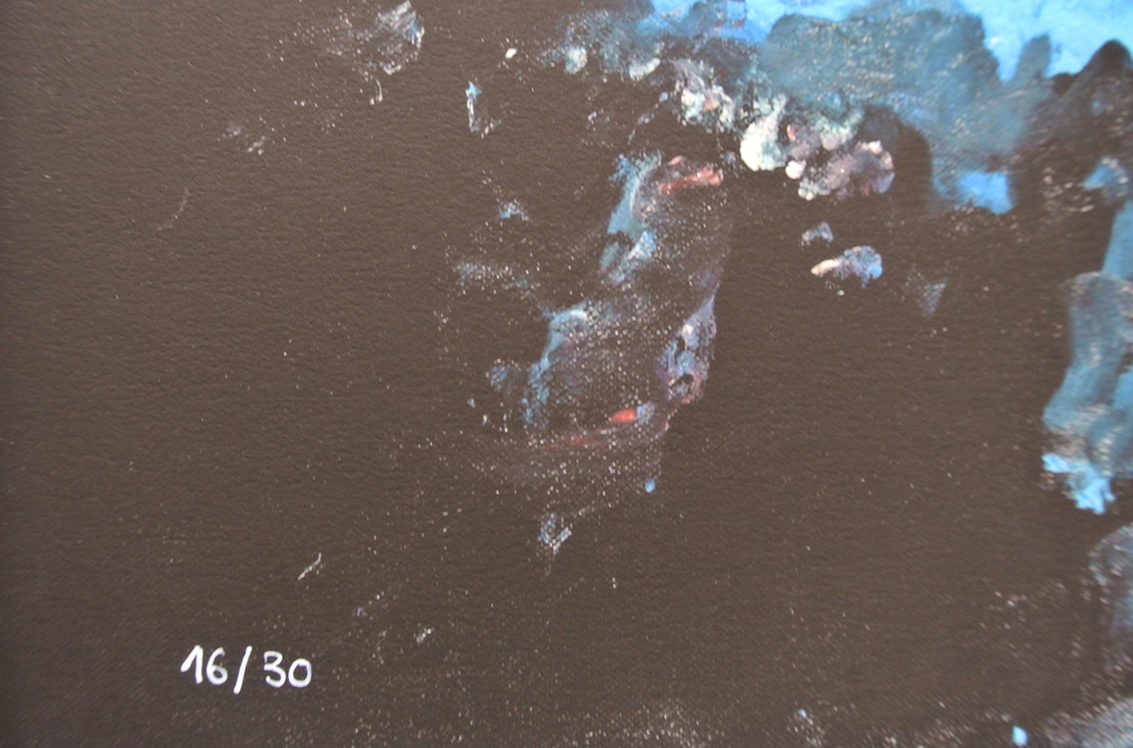 ARMANDO. Bijzonder kleurrijk Glicee. -Pflanze- 2014. Oplage: 30. Handgesigneerd. kopen? Bied vanaf 225!