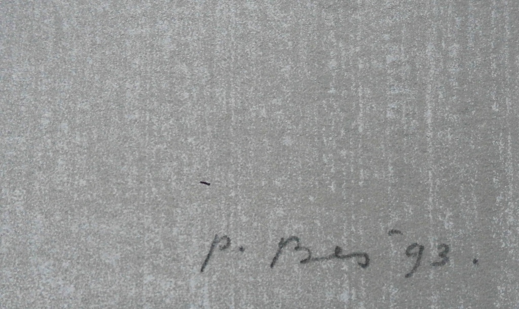 Peter Bes - Litho - 1993 kopen? Bied vanaf 45!