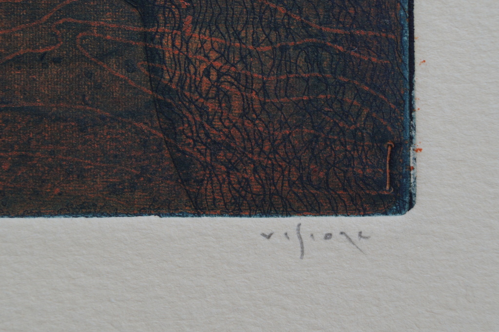 Mark Visione - gesigneerde ets - Swim! - 12 ex. kopen? Bied vanaf 1!