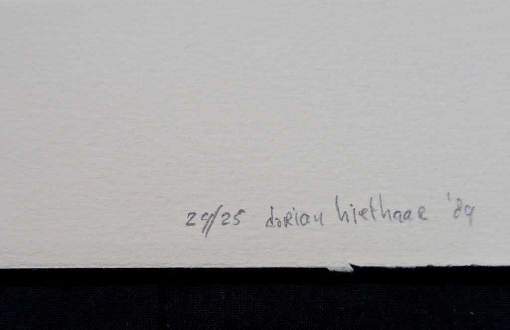 Dorian Hiethaar: Litho, Blauw bos kopen? Bied vanaf 1!