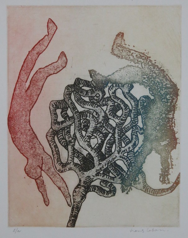 Hans Laban: Kleurenets, De val  kopen? Bied vanaf 1!