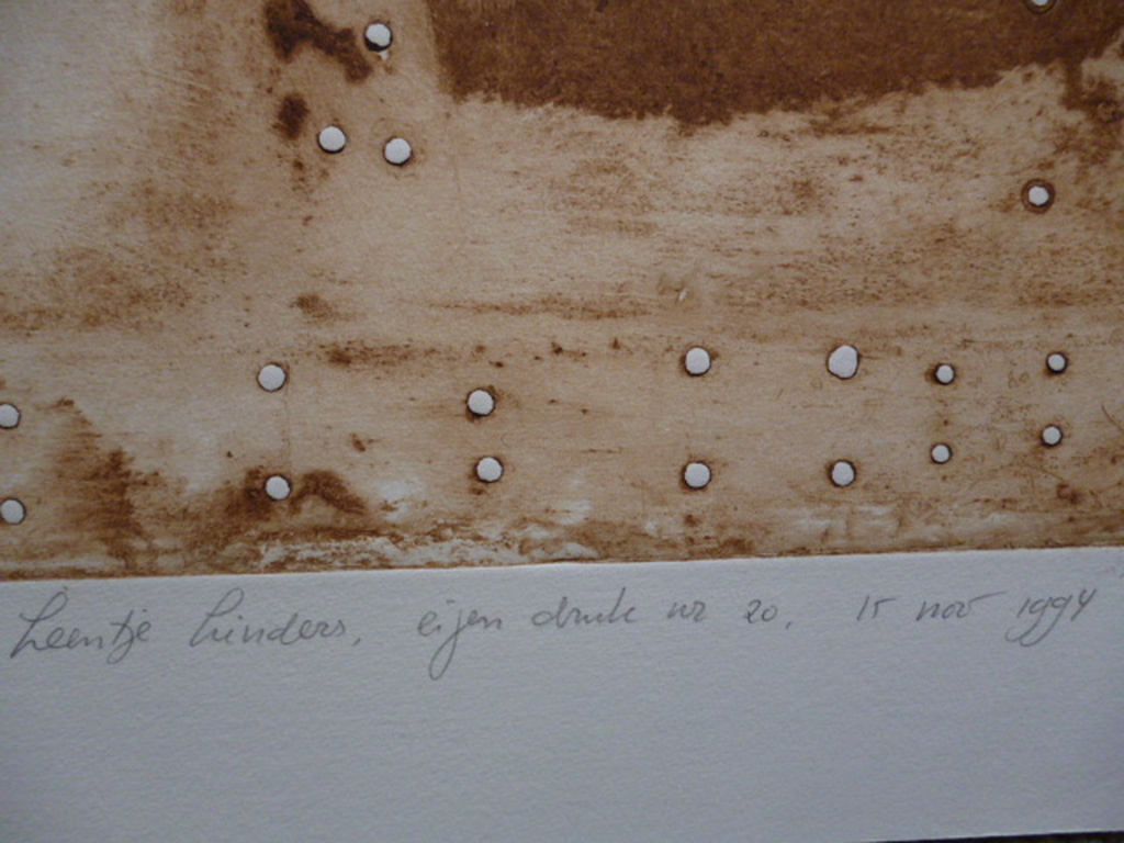 Leentje Linders - kleurenets - Skin of the plane - part one kopen? Bied vanaf 45!