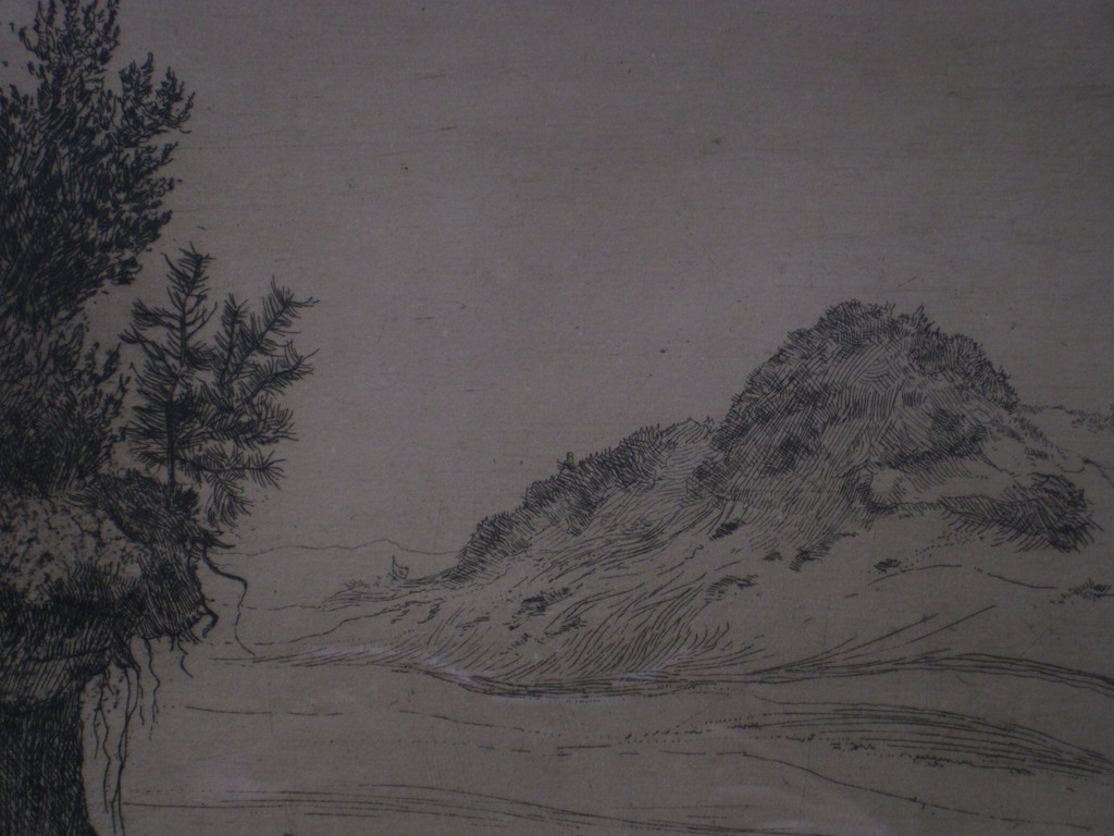 Fraaie en Grote Ets " de Kobbeduinen Schiermonnikoog " van Martin v Waning  kopen? Bied vanaf 1!