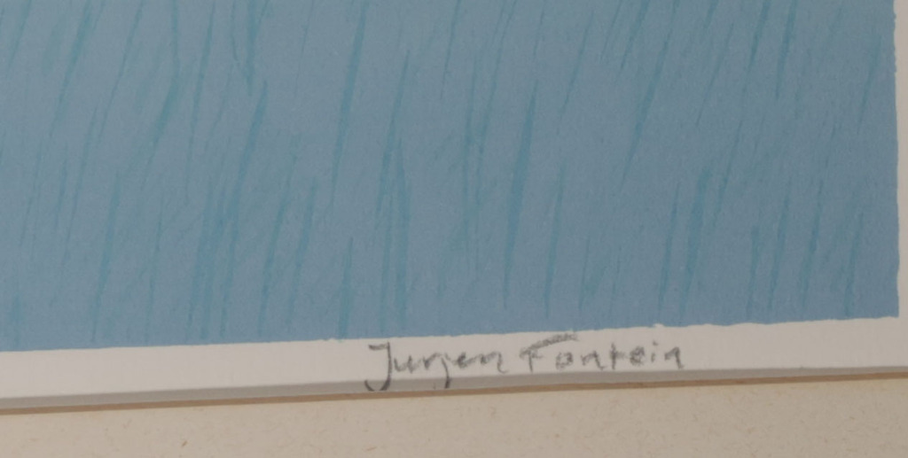 Jurjen Fontein: Zeefdruk, Kievit - Ingelijst kopen? Bied vanaf 1!