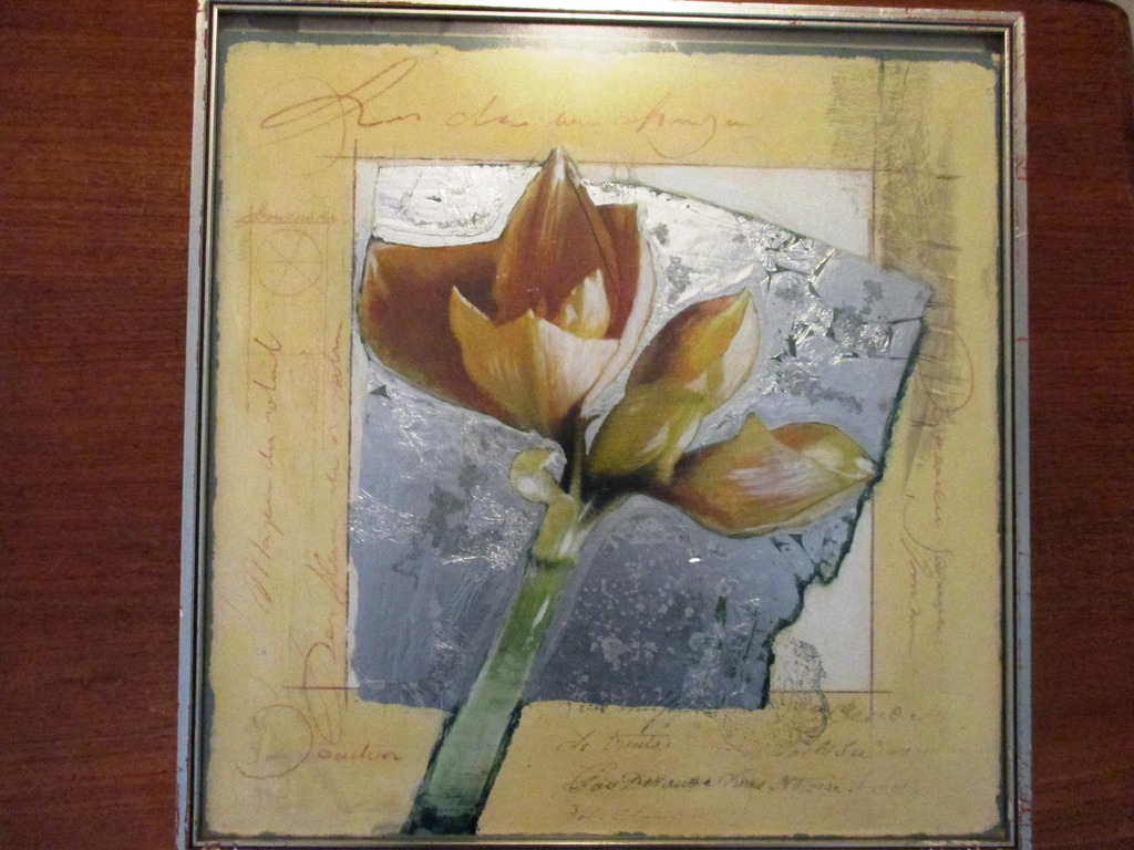 Witte amarylis kopen? Bied vanaf 10!