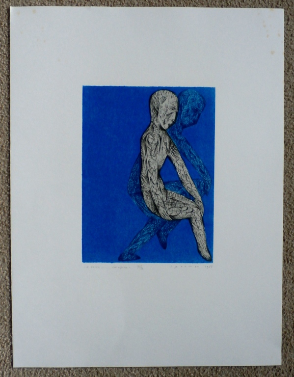 Kees Spermon - kleurenlitho: a voice... imagine- 1988 kopen? Bied vanaf 35!