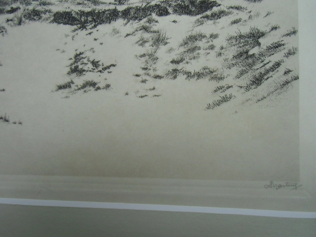 DUINLANDSCHAP  //  ETS VAN DIRK HARTING kopen? Bied vanaf 1!