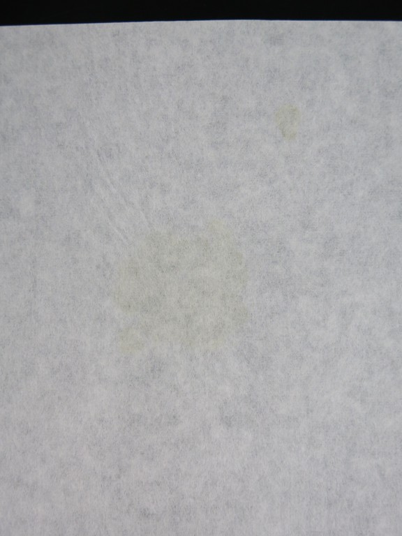 Ad Gerritsen: Houtsnede op Rijstpapier, Master Class kopen? Bied vanaf 50!