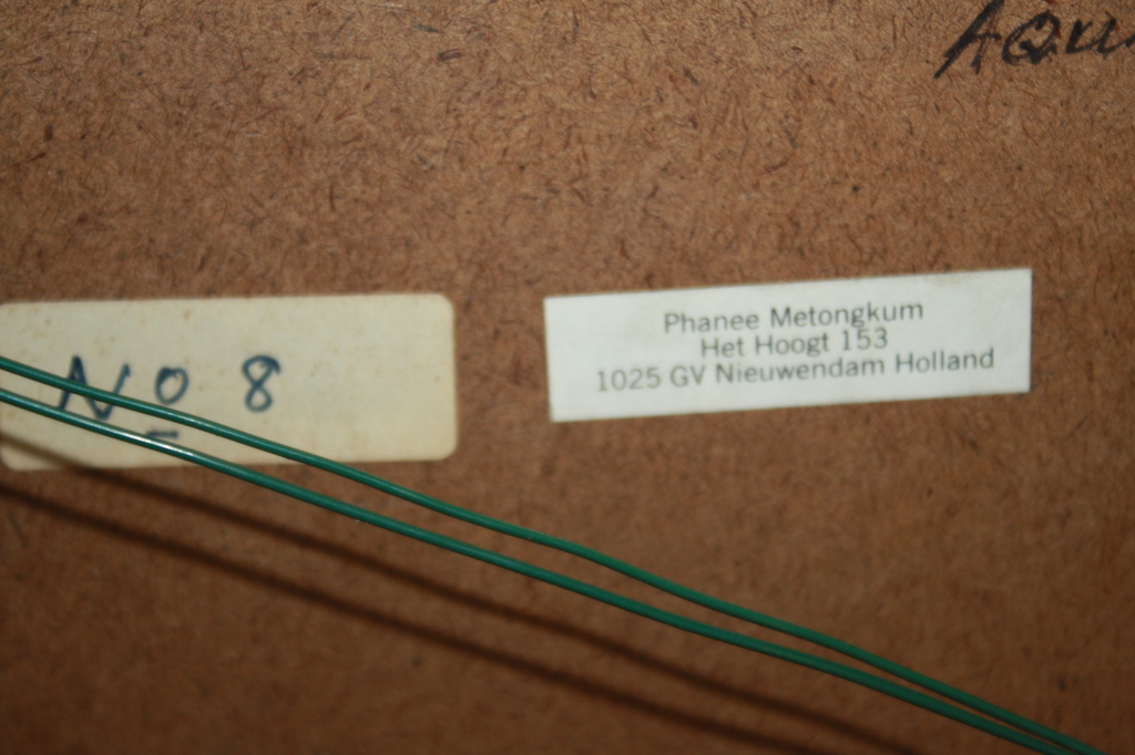 ABSTRACT  - GEM TECHNIEK VAN METONGKUM uit NIEUWENDAM kopen? Bied vanaf 1!