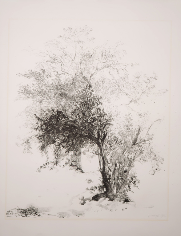 Jaap Kruijff: Litho, Zonder titel kopen? Bied vanaf 1!