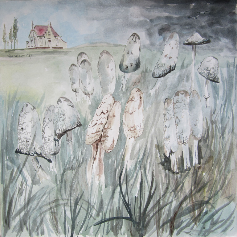 André Tigchelaar: Aquarel, Zomerse paddestoelen kopen? Bied vanaf 1!