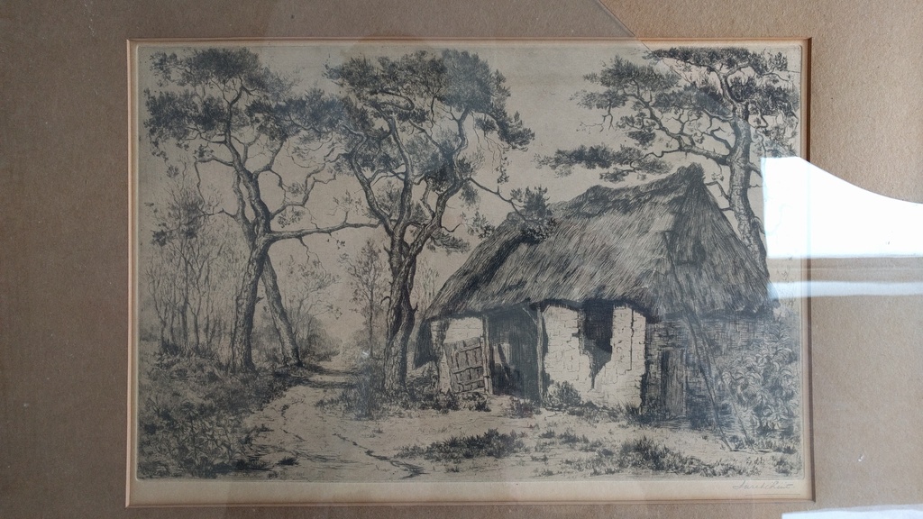 Boerderij met bomen kopen? Bied vanaf 25!