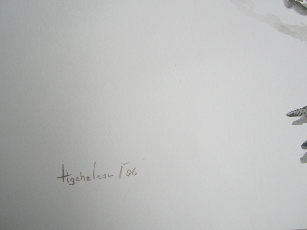 André Tigchelaar: Aquarel, Futen kopen? Bied vanaf 1!