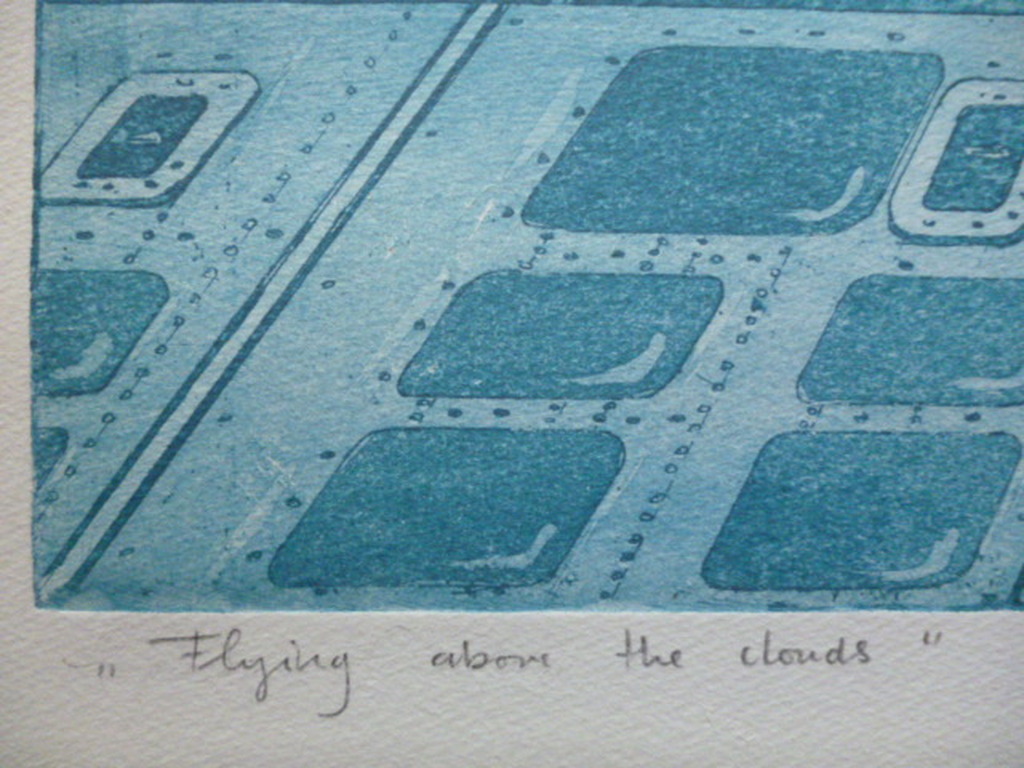 Leentje Linders - kleurenets - Flying above the clouds kopen? Bied vanaf 30!