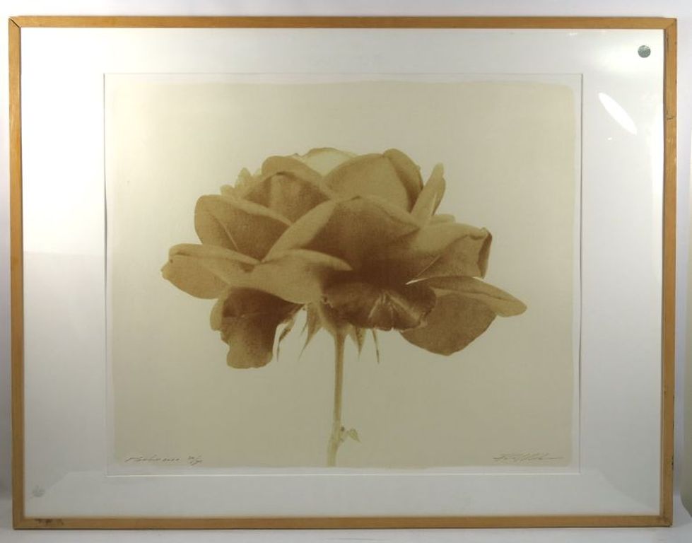 Paul Blanca: Roos - Ingelijst (groot formaat) kopen? Bied vanaf 60!