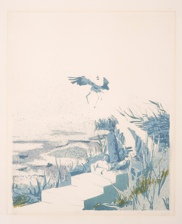 Fred Thoolen: Litho, Slapende meeuw kopen? Bied vanaf 1!