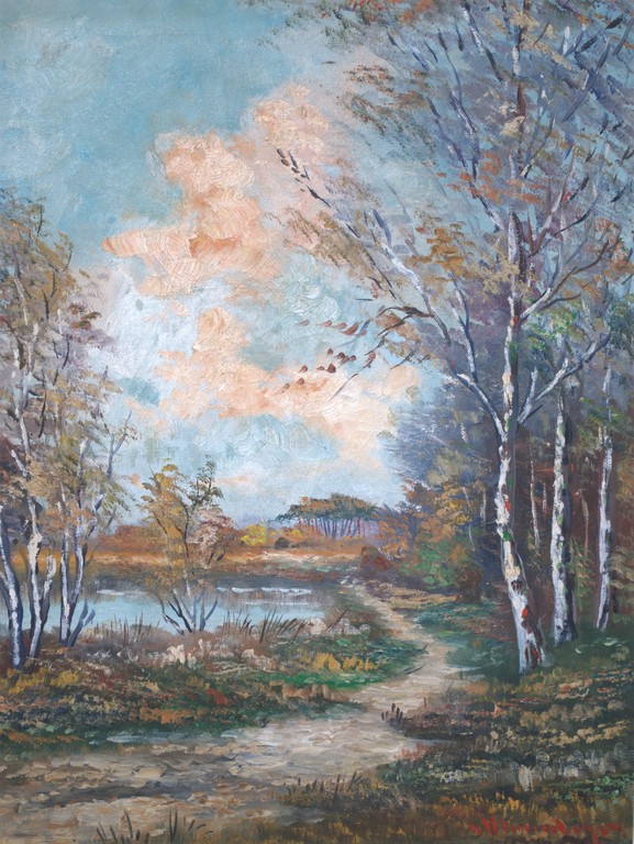 't Gooi - ingelijst olieverf op doek, incl boek kopen? Bied vanaf 1!