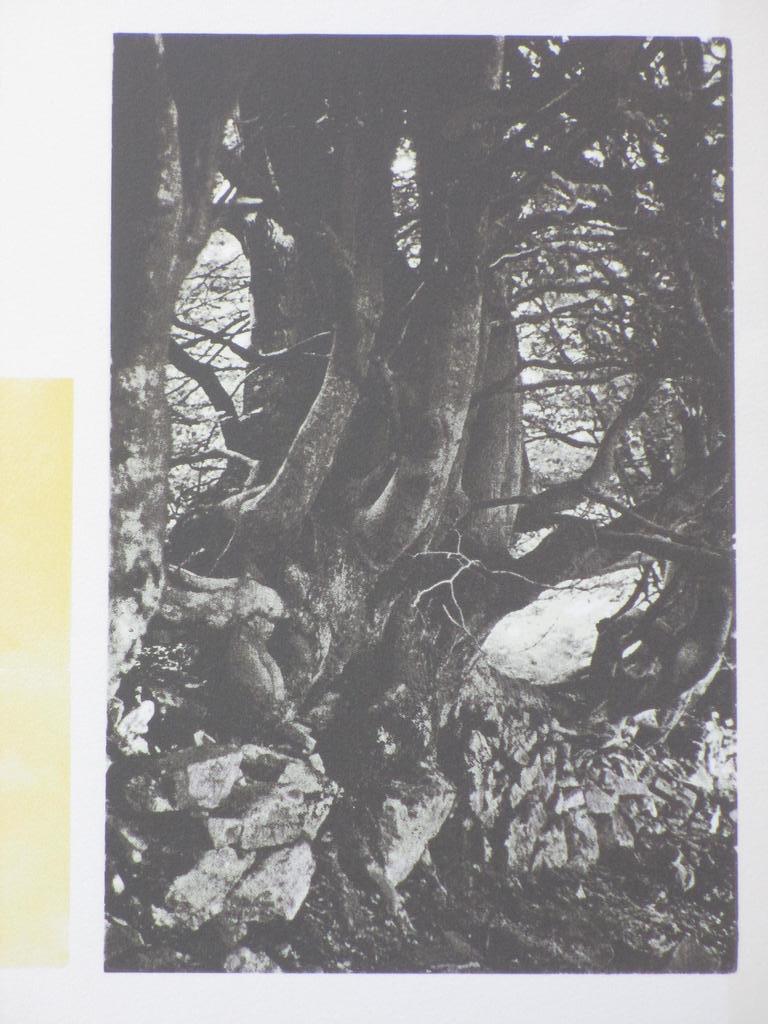 Marian Plug, Zeefdruk, Zomer kopen? Bied vanaf 15!