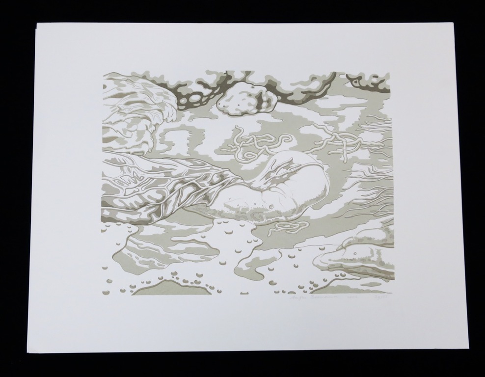 Lot met 13 zeefdrukken van: Aafke Bennema, Landschap en Branding kopen? Bied vanaf 1!