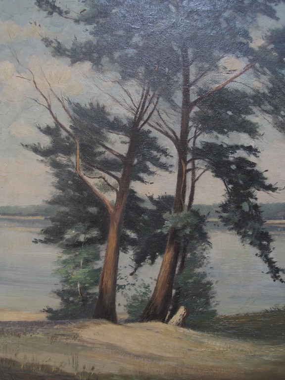 Arnout v Gilst 1898-1982 olieverf "bij het Vogelmeer Kennemerduinen" ca. 1930 kopen? Bied vanaf 1!