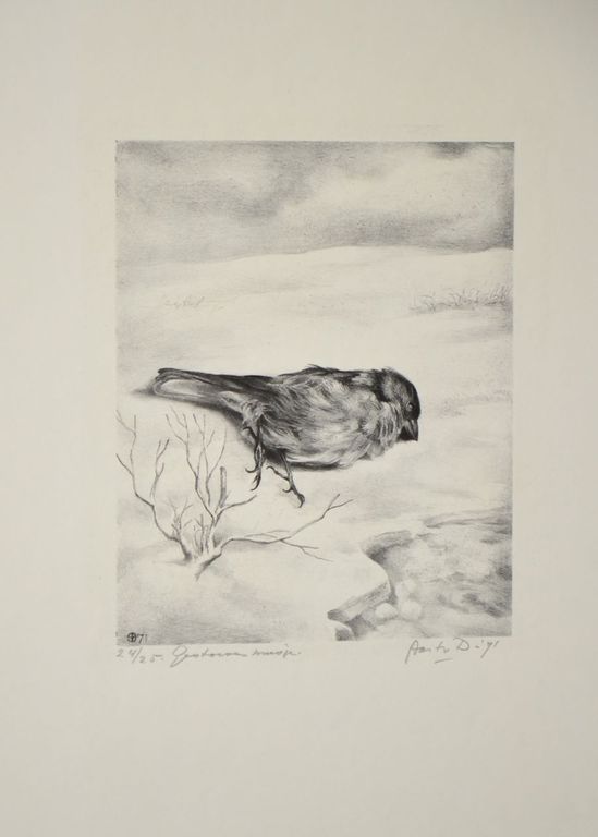 Aart van Dobbenburgh: Litho. Gestorven musje verkocht voor € 42!