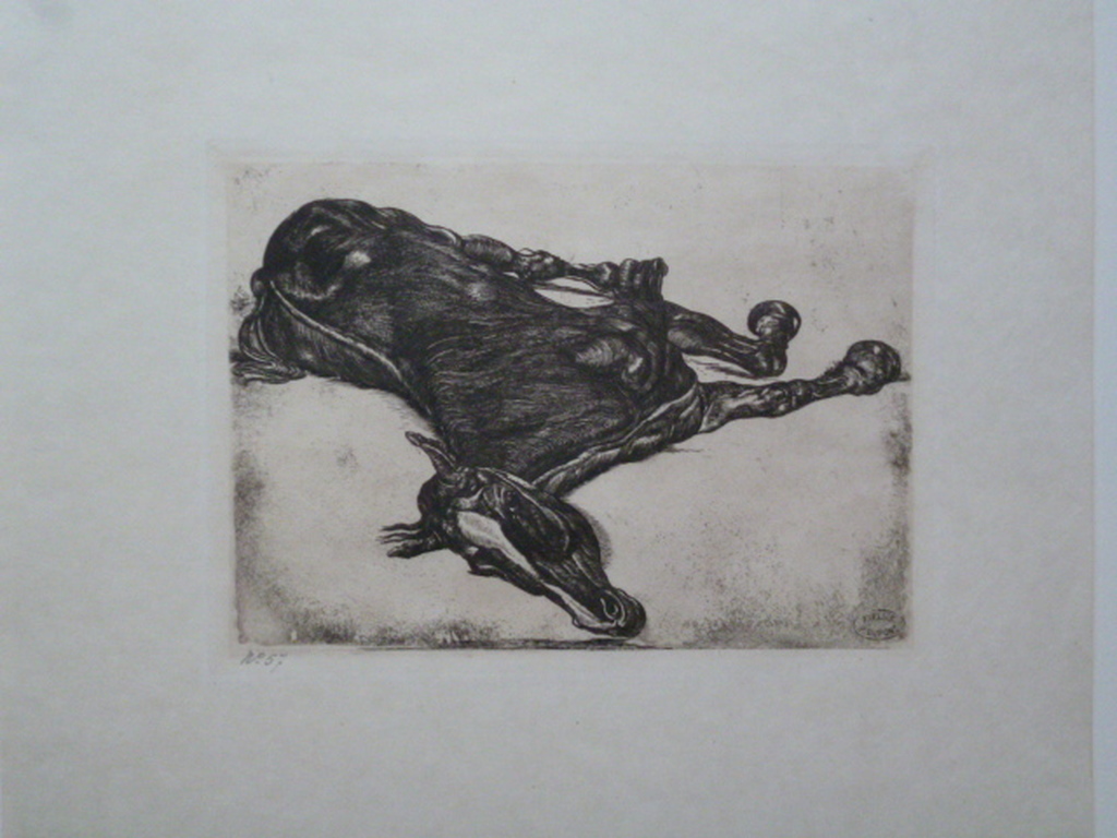 Liggend paard verkocht voor € 40!