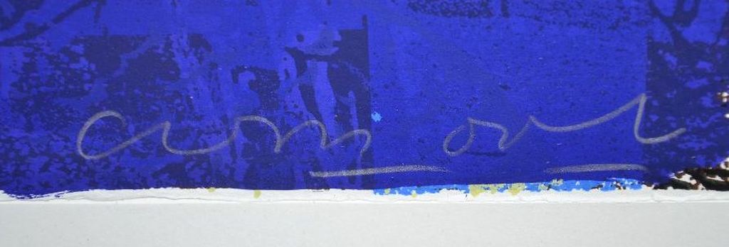 Cees Dolk: Zeefdruk Dish kopen? Bied vanaf 1!