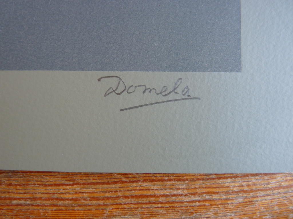 Cesar Domela: Zeefdruk, Z.T kopen? Bied vanaf 99!