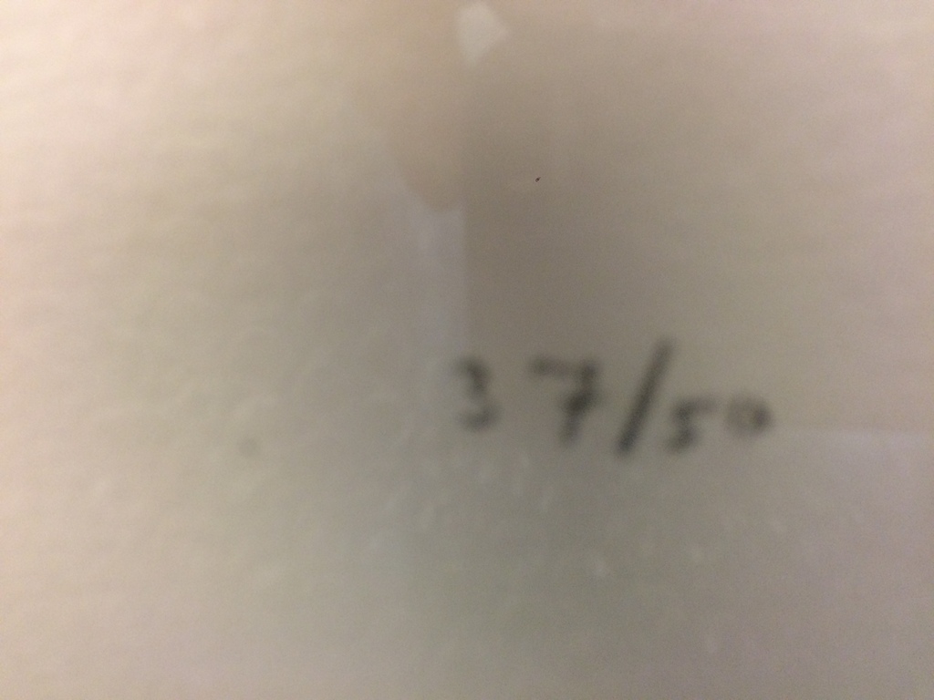 Ingelijste monumentale litho Der Kopf van Armando, in nieuw staat. 37/50 kopen? Bied vanaf 850!