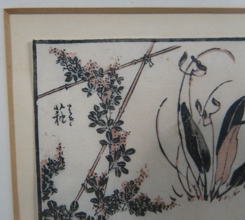 Onbekende kunstenaar: Houtsnede op Japans papier, Studie van planten - Ingelijst kopen? Bied vanaf 10!