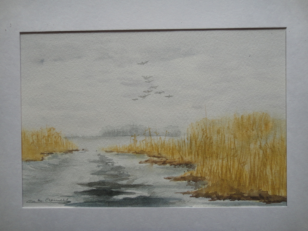 Marijke Cremers, aquarel, rietkraag aan plas met overvliegende eenden kopen? Bied vanaf 1!