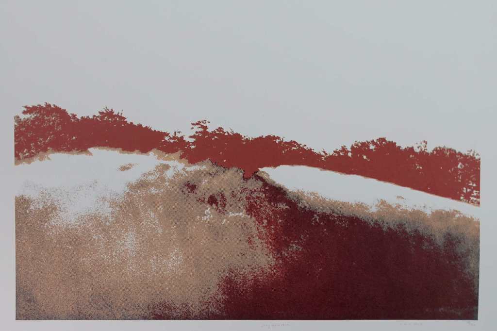 Maria Strik: Zeefdruk, Ray Refraction  kopen? Bied vanaf 1!