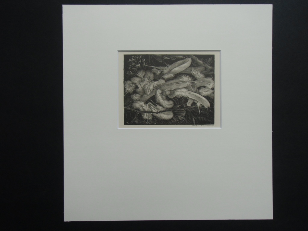 VEERTJES   ///   LITHO VAN INA RAHUSEN kopen? Bied vanaf 30!