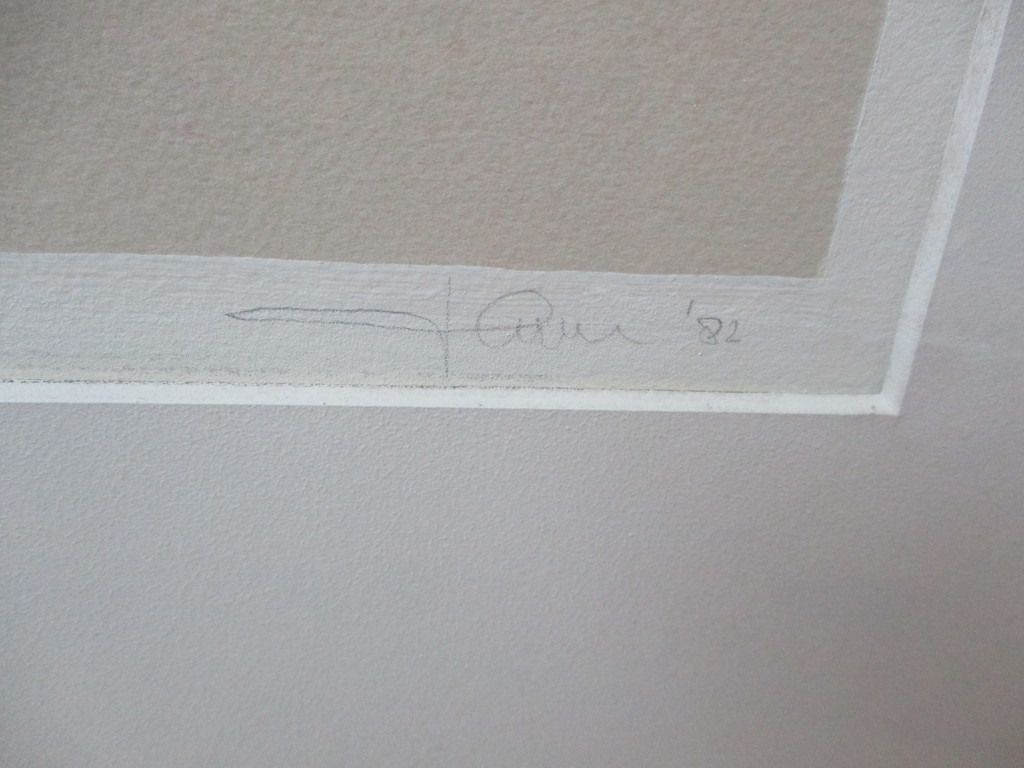 Dirk Huizer: zeefdruk, Luifel kopen? Bied vanaf 50!