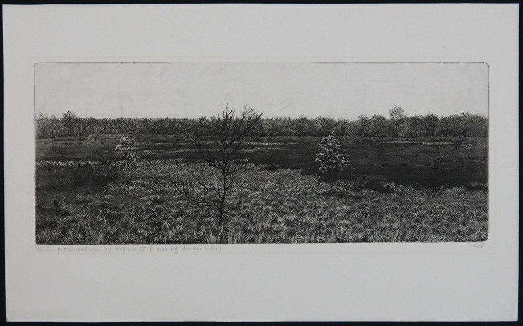 Paulien Wittenrood: Ets, Wolfheze IV (heide bij donker weer) verkocht voor € 45!