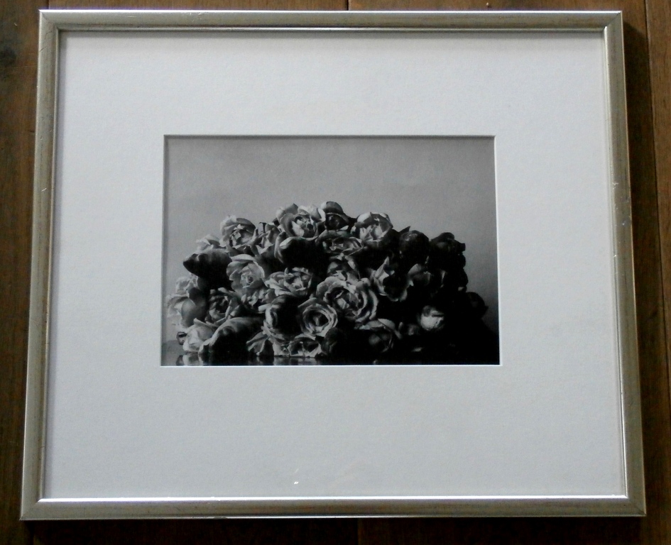 Paul Blanca - ingelijste foto: Fish and Flowers - 1993 - oplage 5 stuks kopen? Bied vanaf 160!