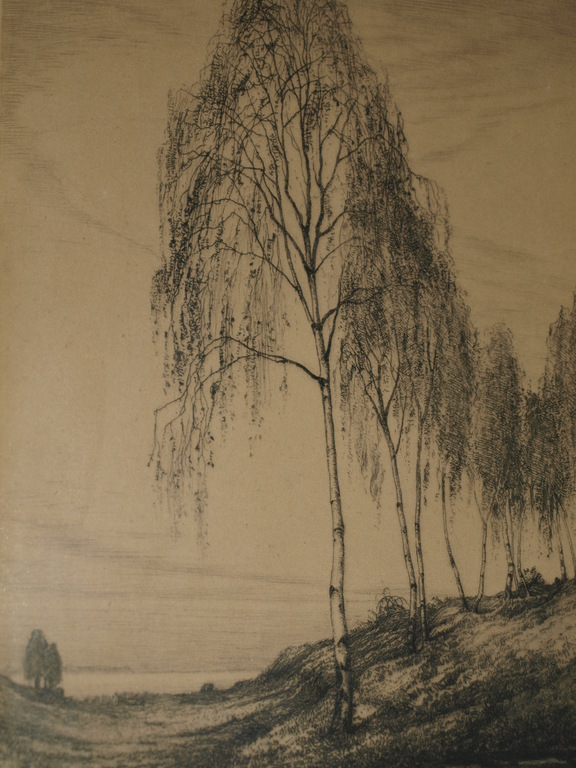 Onduidelijke signatuur: Ets – Landschap met bomen – Ingelijst - Oud verkocht voor € 40!