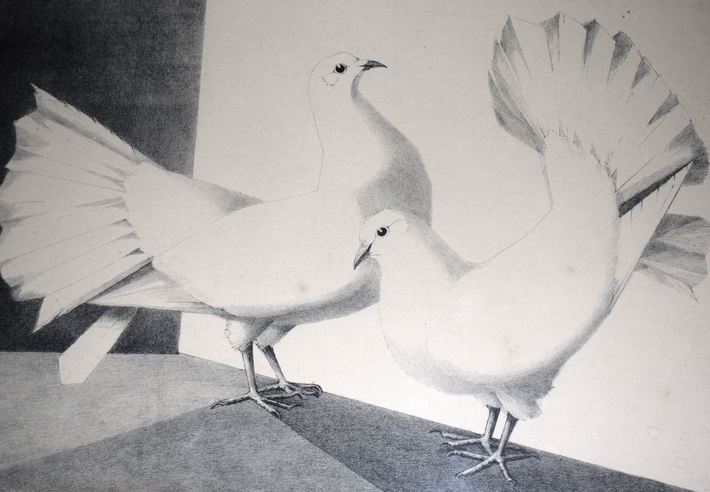 Jo van Oosten Slingeland -- prachtige litho van twee siervogels  kopen? Bied vanaf 1!