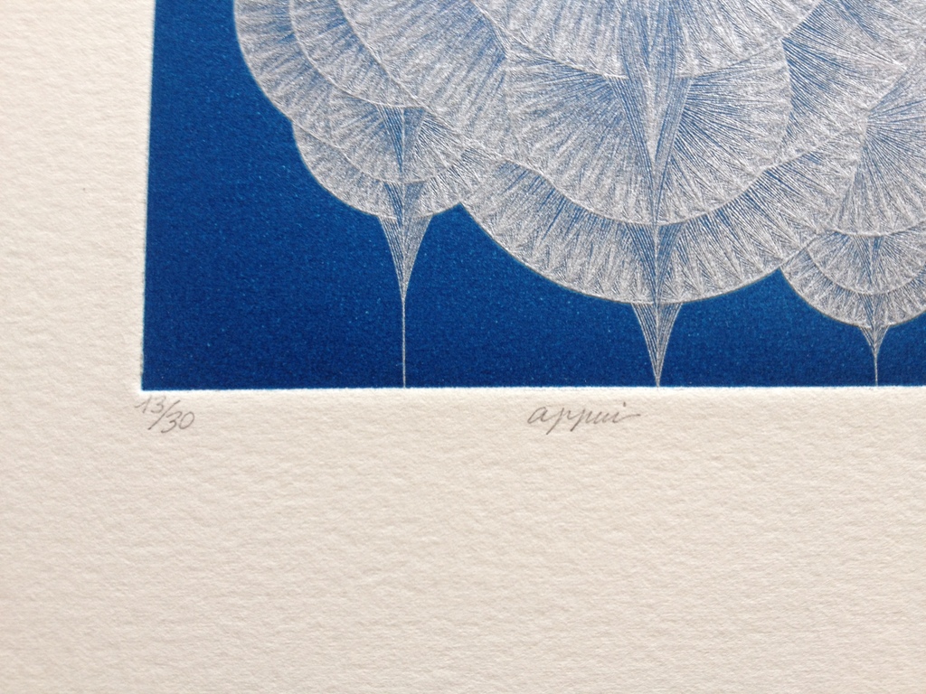 Yasuyuki Kihara :Appui handgesigneerde ets op buettenpapier  kopen? Bied vanaf 50!