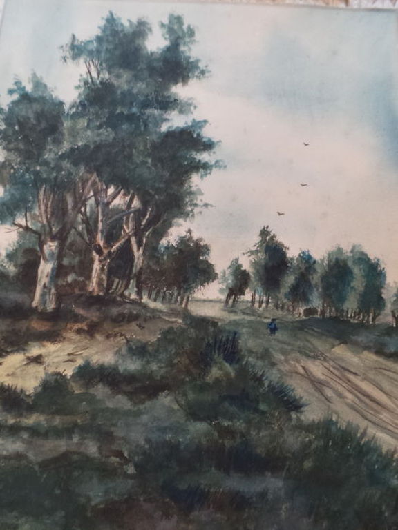 Twee aquarellen  kopen? Bied vanaf 10!