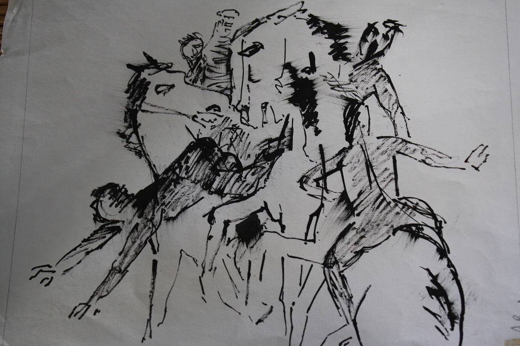 paarden chaos INKT van AD BEEKMANS BARABANT kopen? Bied vanaf 18!