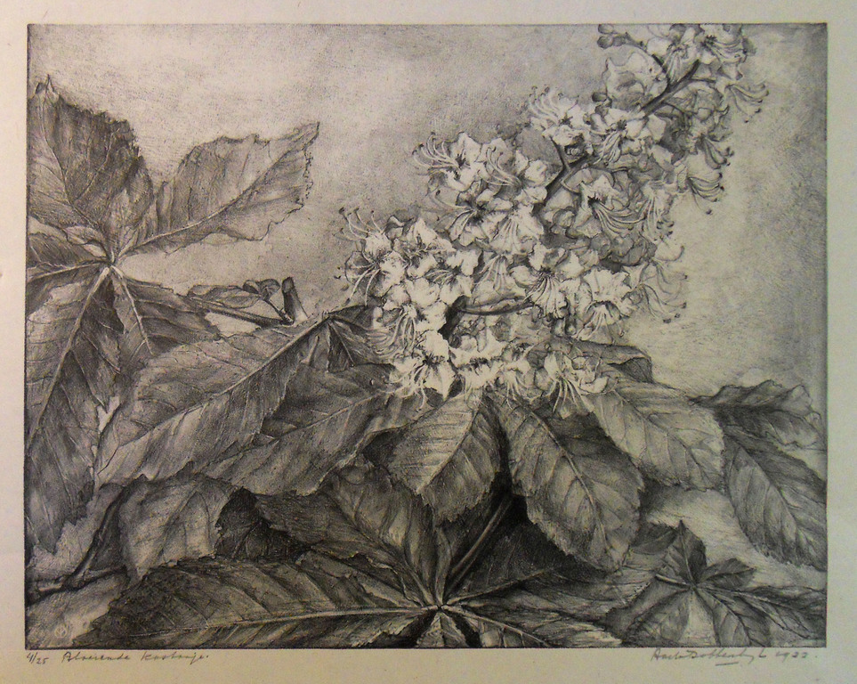 Bloeiende kastanje - Aart van Dobbenburgh verkocht voor € 50!