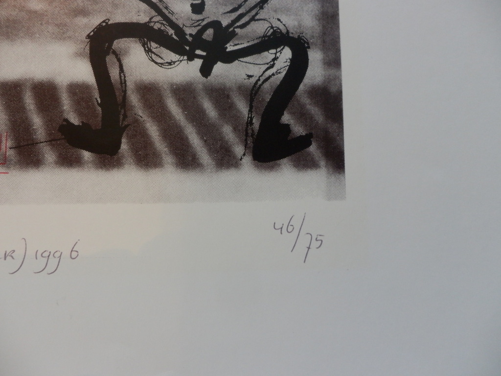FENNEKE ten THIJ   Grafiek Handgesigneerd en Genummerd uit 1996 kopen? Bied vanaf 25!
